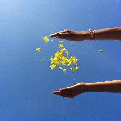 星空app官方版app下载