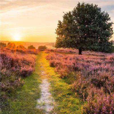 大发彩票下载手机版